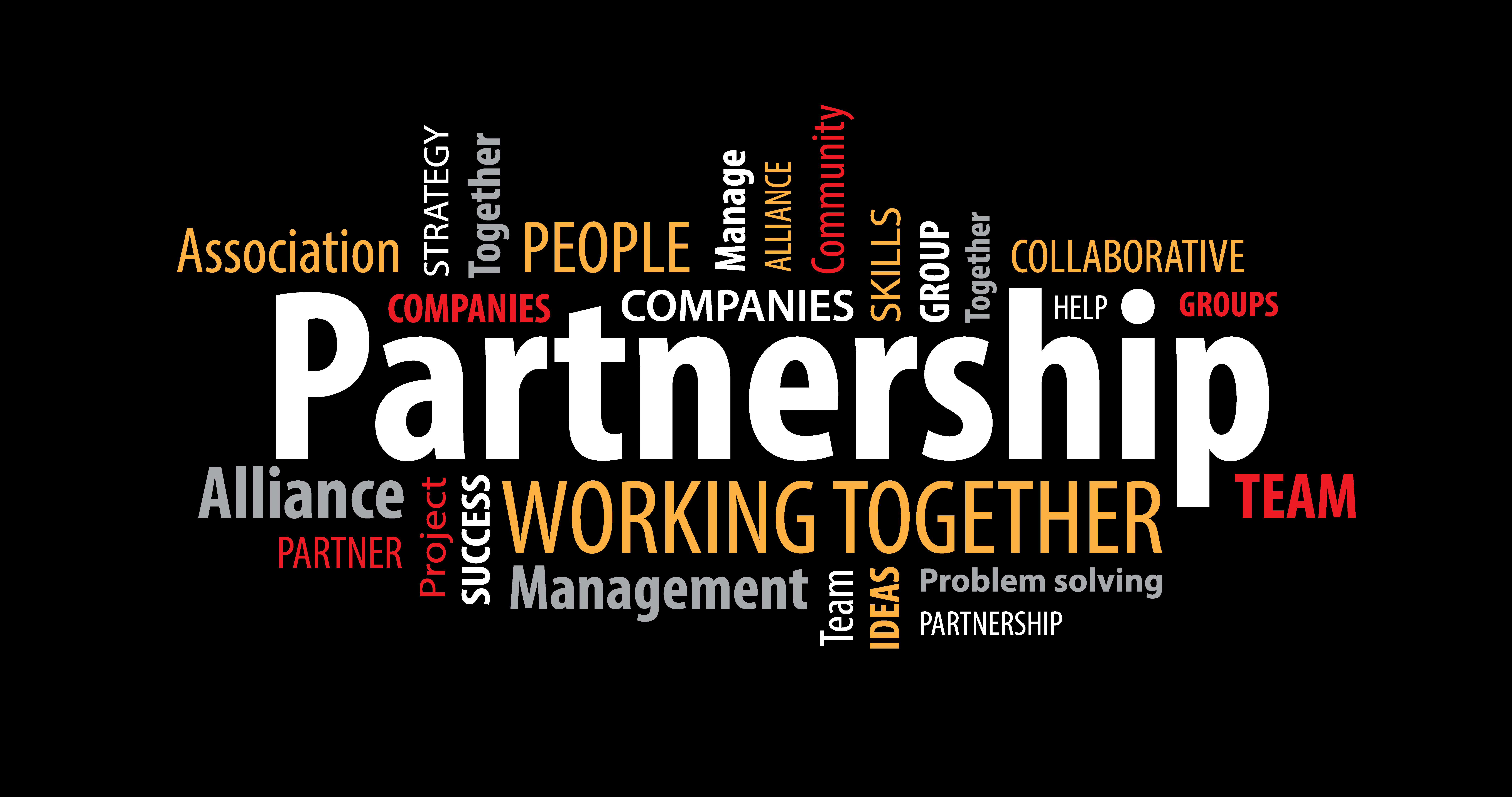 Building Partnerships Through Service Excellence